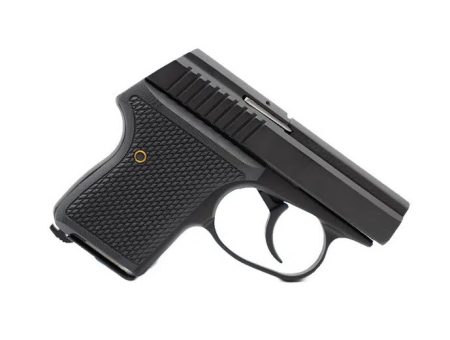 L.W. Seecamp LWS25BLKW 7+1 2" .25 ACP Black